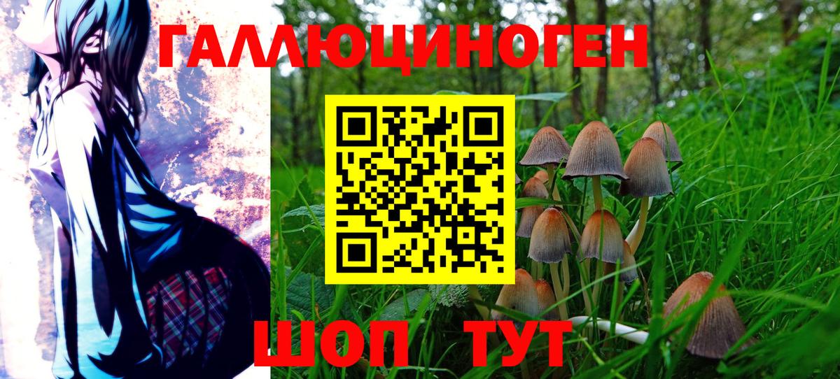 Псилоцибиновые грибы GOLDEN TEACHER Губкин