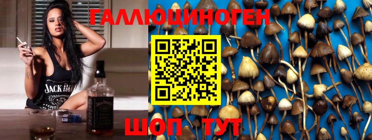 Губкин  Галлюциногенные грибы мухоморы  купить   Вход с VPN 
